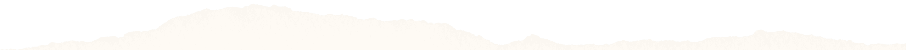 bottom border